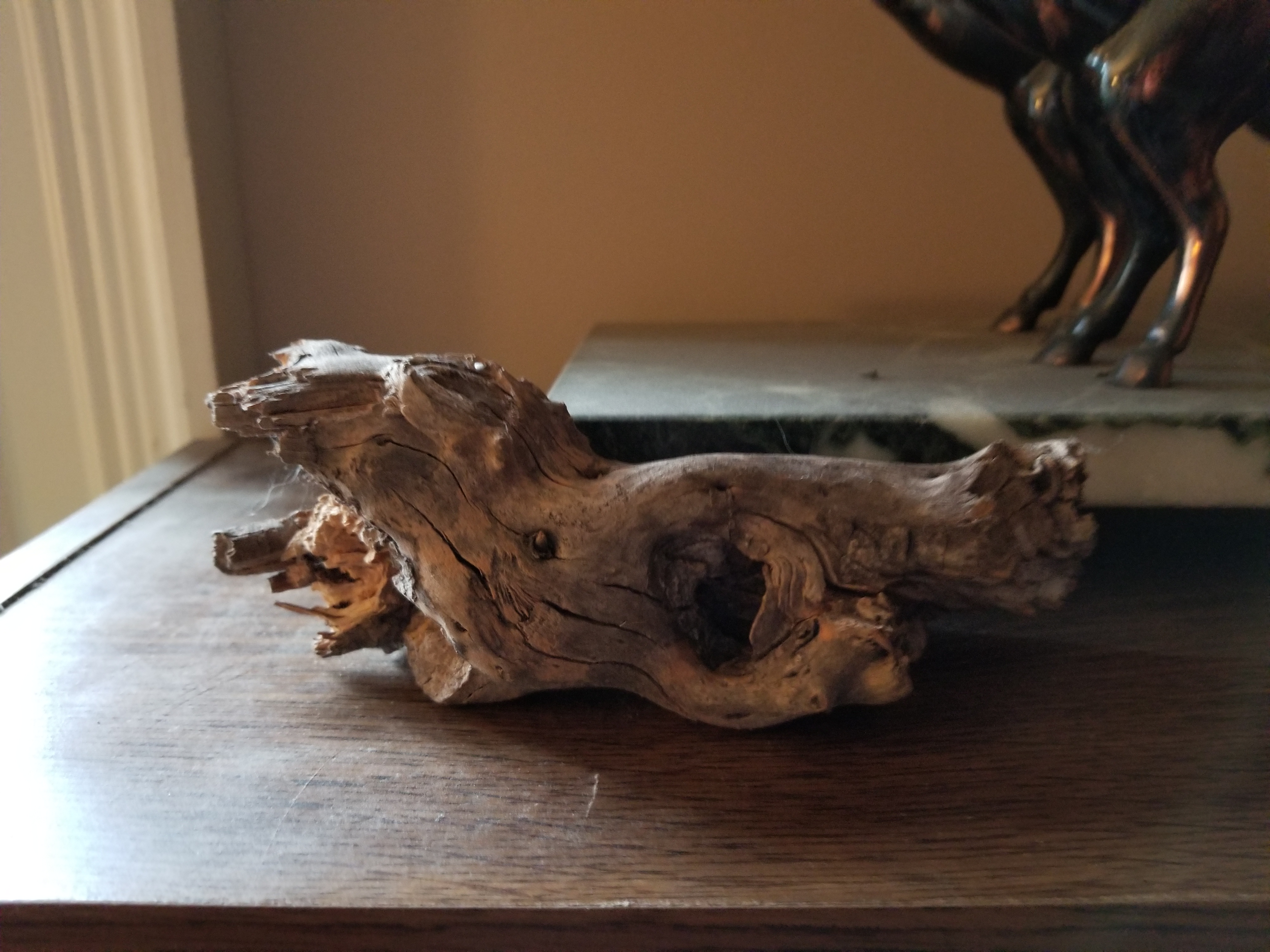 drift wood fancy2