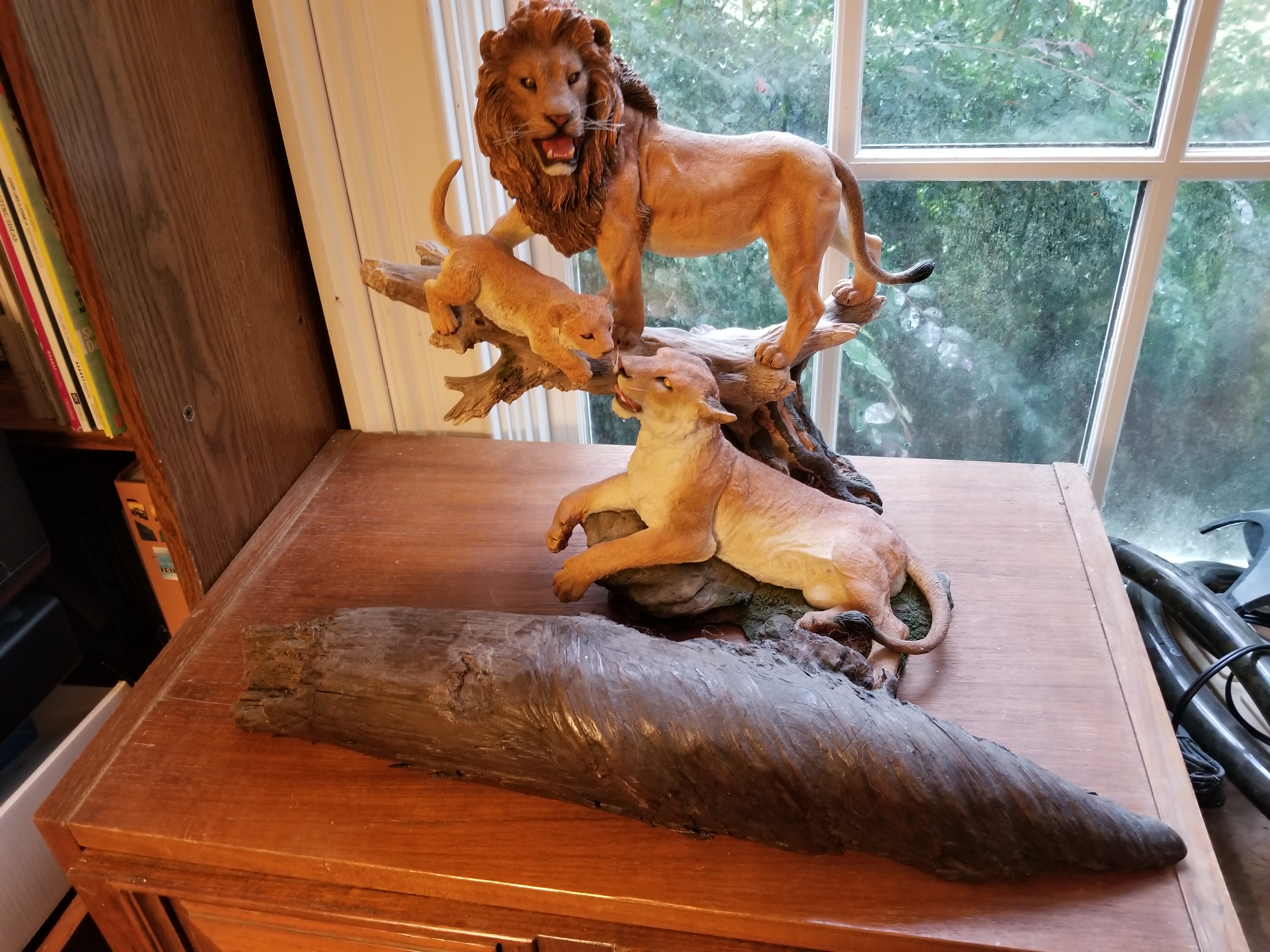 Driftwood and Lions