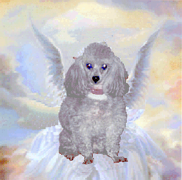 Angel Tiffy Memorial